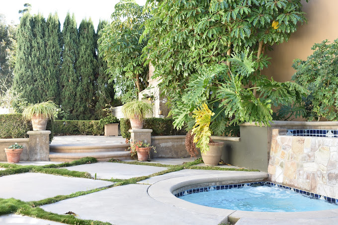 acera health backyard