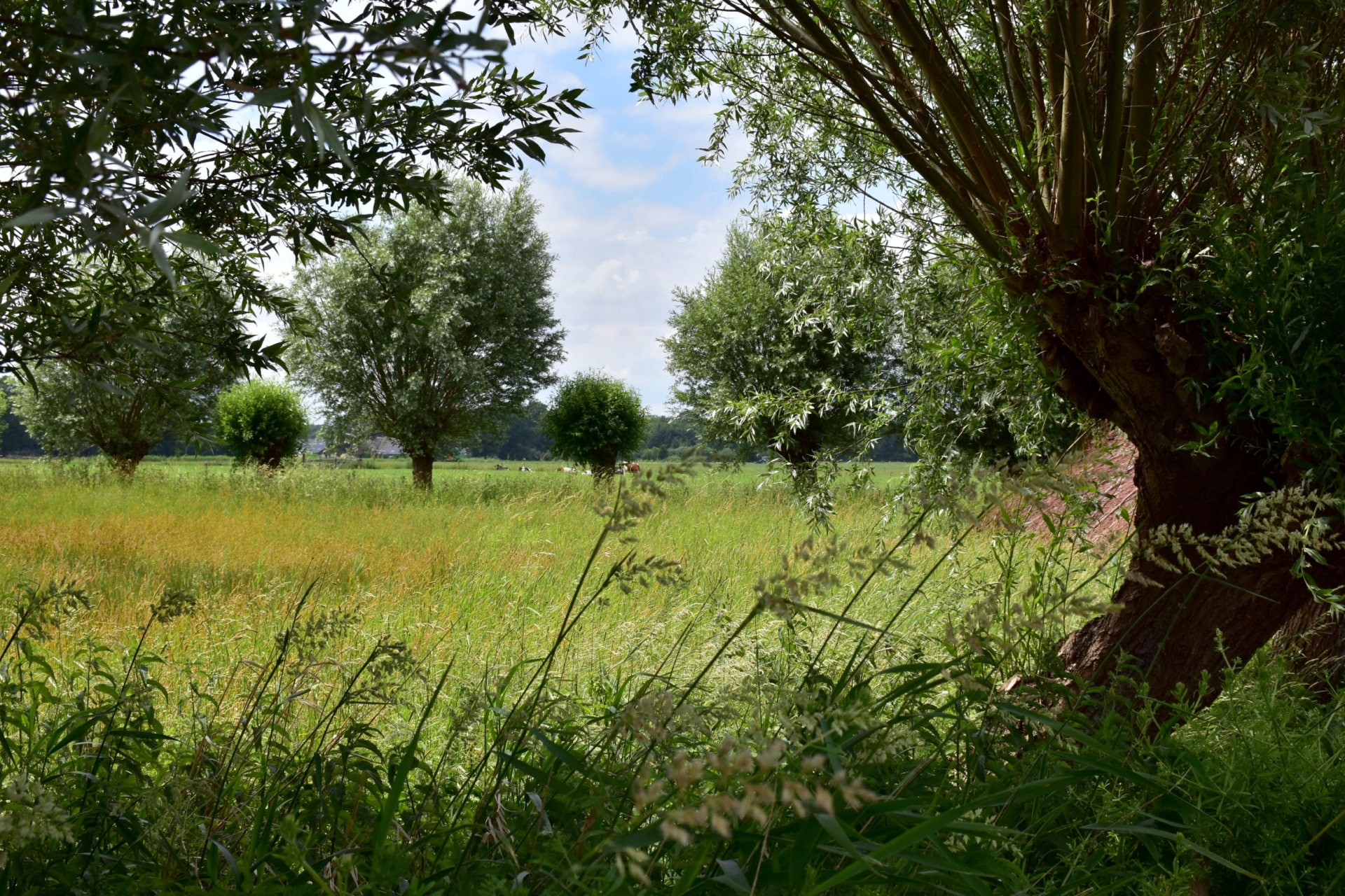 Landscape photo of a beautiful